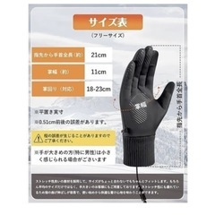 【新品未使用】電熱手袋 裏起毛・防風防水構造・滑り止め加工・スマホ対応 フリーサイズの画像