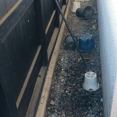 植木鉢無料で差し上げます　　引き取り限定の画像