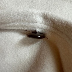 【美品】マタニティコート　M〜Lサイズ　産前産後の画像