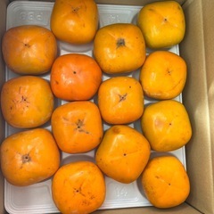 みかん日南1号1箱10キロの画像