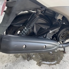 YAMAHA しくシグナスの画像