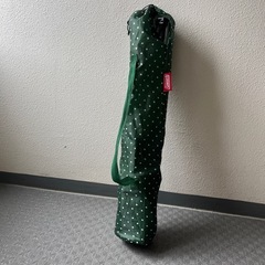 コールマン　リゾートチェア　グリーンドットの画像