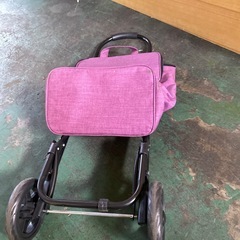 シルバーキャリーの画像