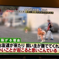 REGZA65型てれびテレビの画像