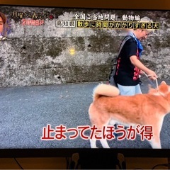 REGZA65型てれびテレビの画像