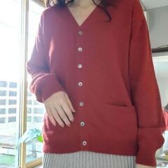 美品 カシミヤ100 カーディガン ニット 長袖 ユナイテッドアローカシミヤ100%カーディガンです。 ふわふわで最高の肌触り☆ 柔らかくて着心地とても良いです!  数回着用しました。目立った傷や汚れはありませんが、着用に伴う毛羽立ちが少し見られます。自宅保管のため、神経質な方はご遠慮ください。  【ブランド】UNITED ARROWS 【カテゴリ】カーディガン 【商品の状の画像