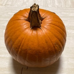 おもちゃカボチャの画像