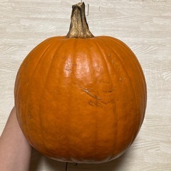 おもちゃカボチャの画像