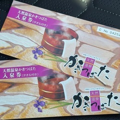 天然温泉かきつばた 入泉券２枚（タオル付き）の画像