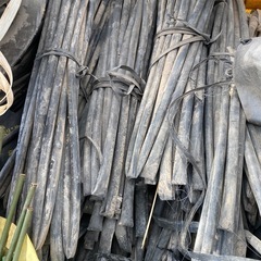 点滴灌水　チューブの画像