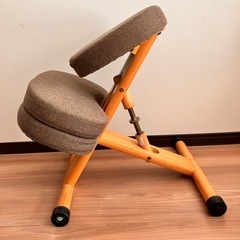 バランスチェアの画像