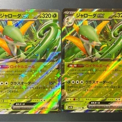 ポケモンカード　ジャローダSAR
の画像