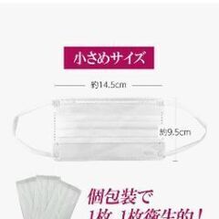 医食同源ドットコム  ISDG  不織布マスク  PREMIUM   50枚入り (個包装)の画像