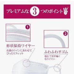 医食同源ドットコム  ISDG  不織布マスク  PREMIUM   50枚入り (個包装)の画像