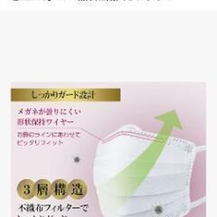医食同源ドットコム  ISDG  不織布マスク  PREMIUM   50枚入り (個包装)の画像