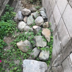 庭石、浅間石の画像