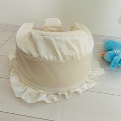 バンボ、バンボカバーの画像