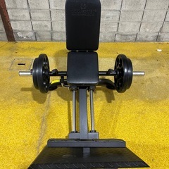 本格レッグプレス【配送組立可】POWERTEC社　コンパクトレッグスレッドの画像