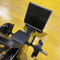 本格レッグプレス【配送組立可】POWERTEC社　コンパクトレッグスレッドの画像