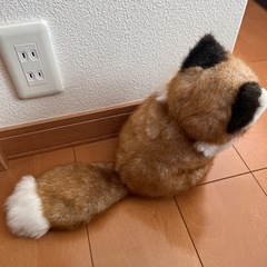 【無料】　ぬいぐるみの画像