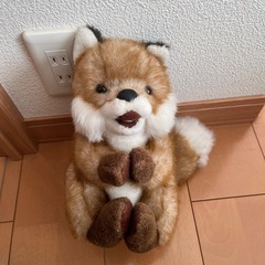 【無料】　ぬいぐるみの画像