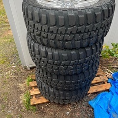 マーテルレオン 20インチの画像