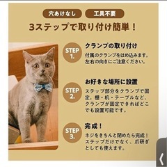 キャットタワー、キャットステップの画像