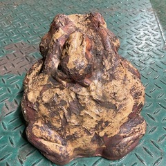 信楽焼のカエルの画像