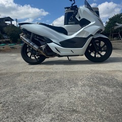 pcx jf81 マフラーの画像
