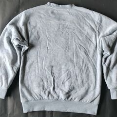 裏ボア　もこもこ　トレーナー　着丈62cm　レディースL、メンズSくらい　グレーの画像