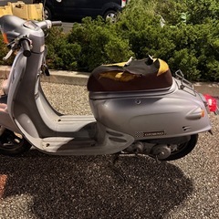 再投稿★
希少★ジョルノ★原付50cc★値上げしました！の画像