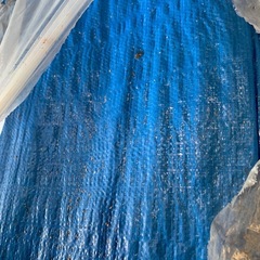 ブルーシート　10m×10m　の画像