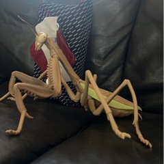 特大　リアルビッグサイズフィギュア　カマキリ　の画像