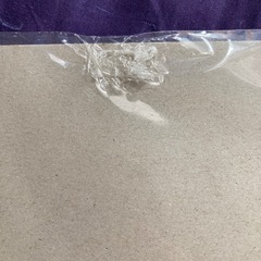 勝利の女神　の画像