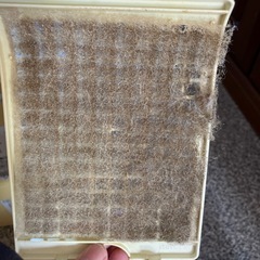 シャープ　加湿器の画像