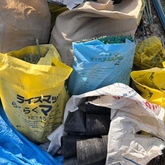 ポリポット　一袋100円の画像