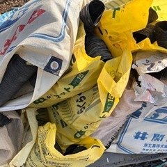 ポリポット　一袋100円の画像