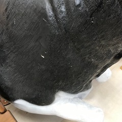 牛のベンチの画像