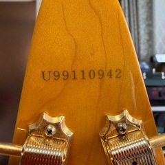 エピフォン フライングV コリーナ 99年製 極上個体メンテナンス済の画像