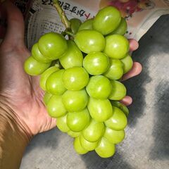 🌱農業（農家）に興味ある人！