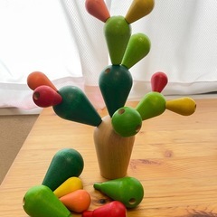 サボテン　バランスゲーム　カクタスの画像