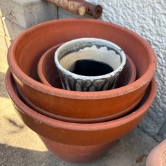 植木鉢いろいろいろいろの画像