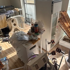 持って帰り放題の画像