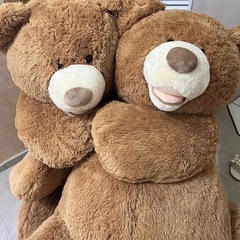 コストコ クマちゃん ぬいぐるみ コストコクマぬいぐるみの画像