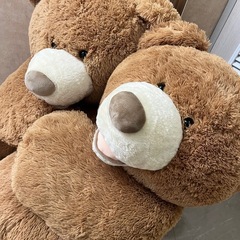 コストコ クマちゃん ぬいぐるみ コストコクマぬいぐるみの画像