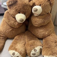 コストコ クマちゃん ぬいぐるみ コストコクマぬいぐるみの画像
