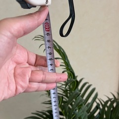 フェイク観葉植物の画像