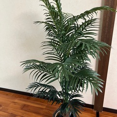 フェイク観葉植物の画像