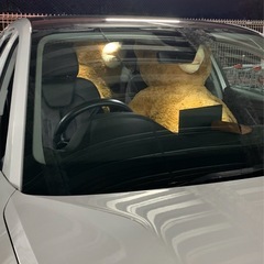 コストコ クマちゃん ぬいぐるみ コストコクマぬいぐるみの画像