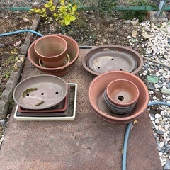 植木鉢 盆栽鉢の画像